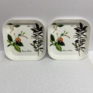 Mebel Melamine Square Plates Trays Myristica Moschata Plants Made In Italy